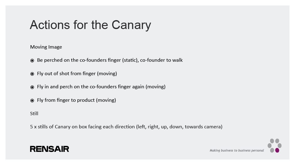 Canary performance direction and action list for the Rensair brand film